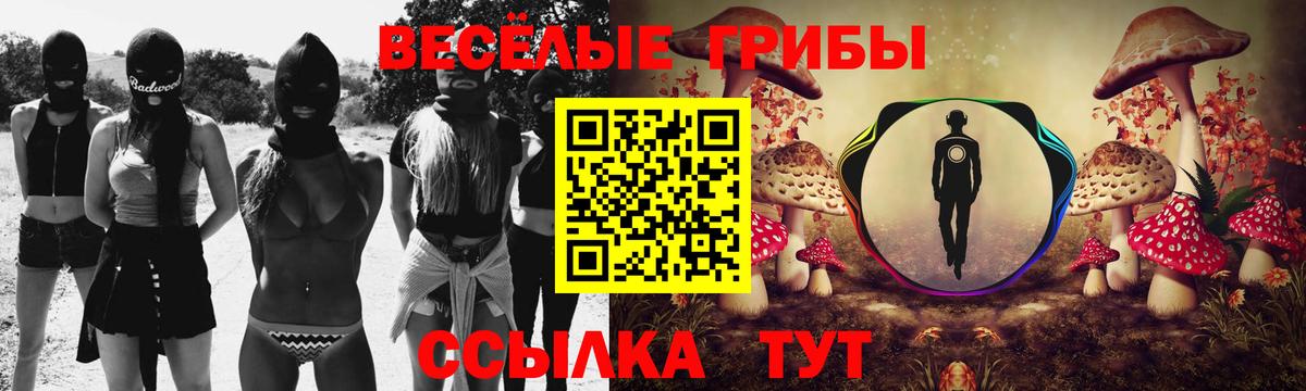 Галлюциногенные грибы Cubensis  Вход с VPN  купить   Елабуга 